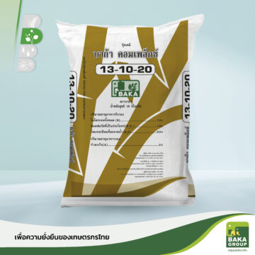 บาก้าคอมเพล็กซ์ 13-10-20