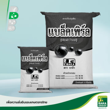 แบล็คเพิร์ล