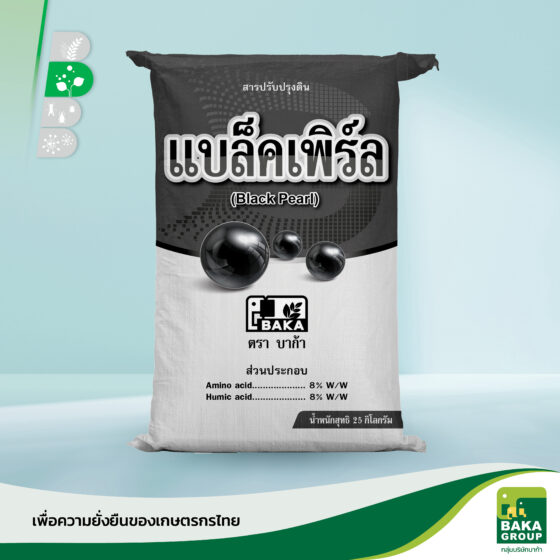 แบล็คเพิร์ล - Image 3
