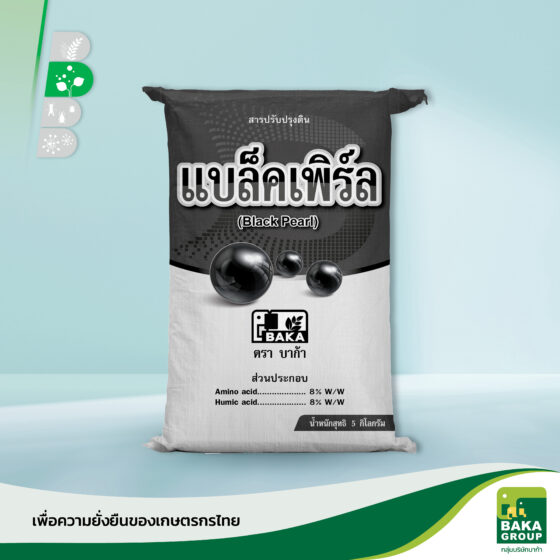 แบล็คเพิร์ล - Image 4