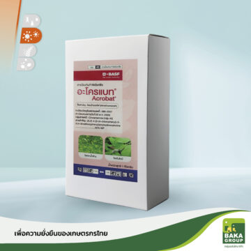 อะโครแบท
