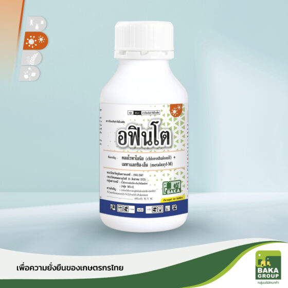 อฟินโต