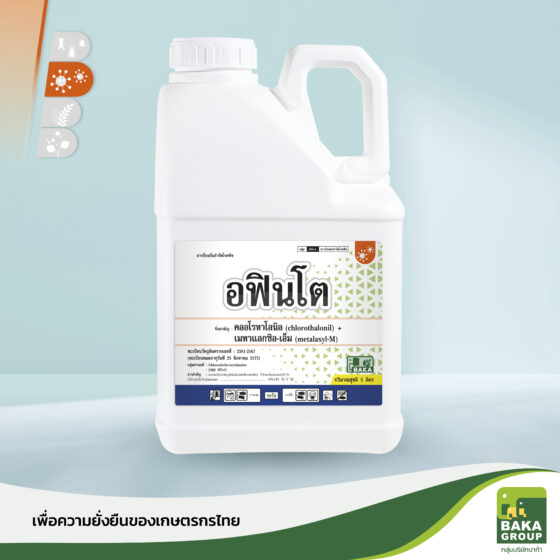 อฟินโต - Image 2