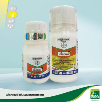 เอไลออน