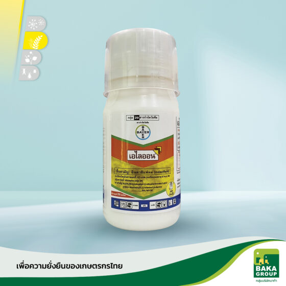 เอไลออน - Image 2