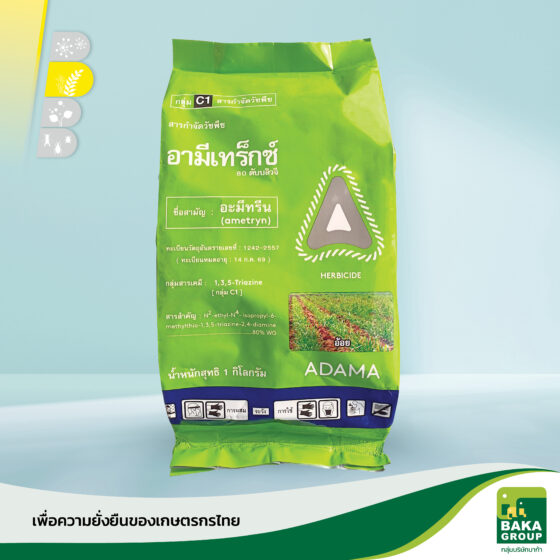 อามีเทร็กซ์ 80 ดับบลิวจี
