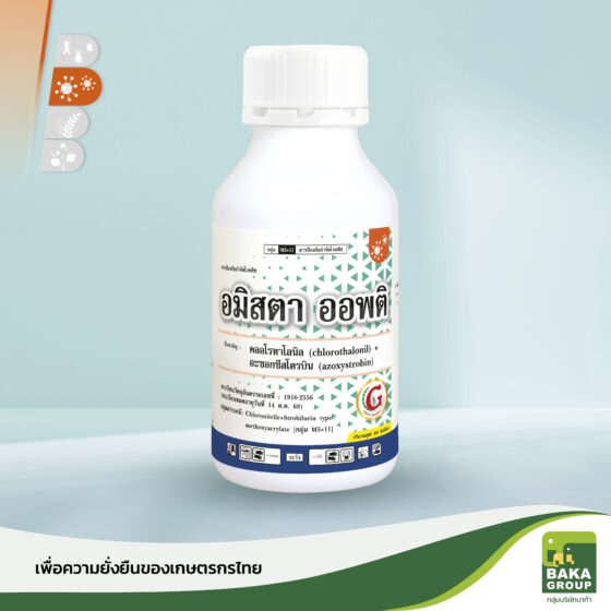อมิสตา ออพติ