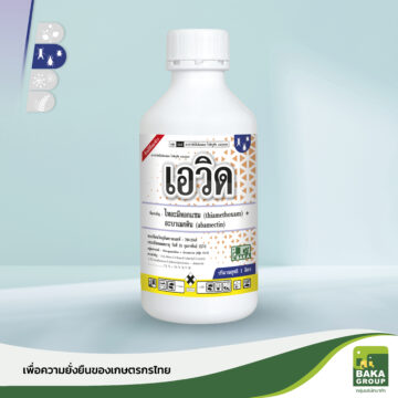 เอวิด