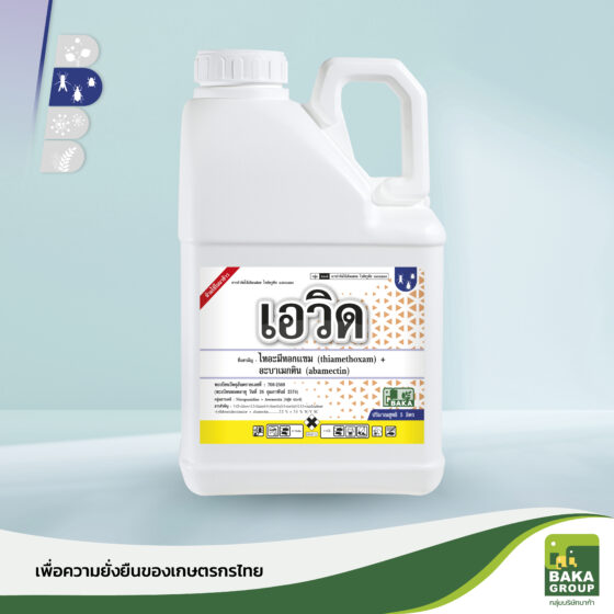 เอวิด - Image 3