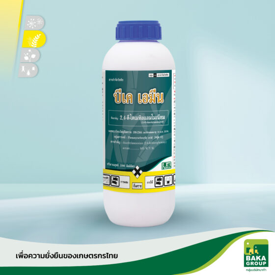 บีเค เอมีน