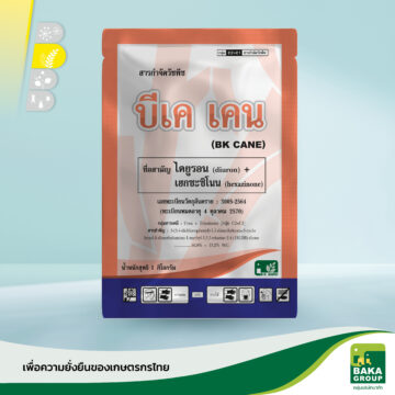 บีเค เคน