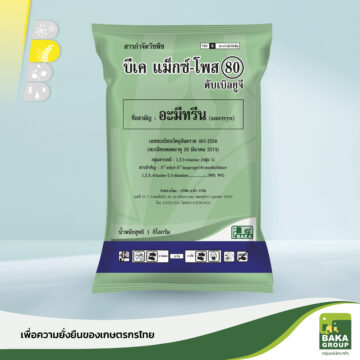 บีเค แม็กซ์-โพส ดับเบิลยูจี