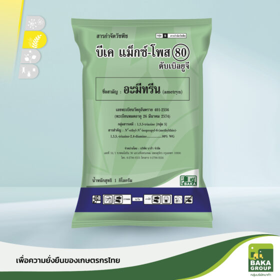 บีเค แม็กซ์-โพส ดับเบิลยูจี