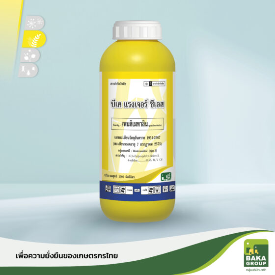 บีเค แรงเจอร์