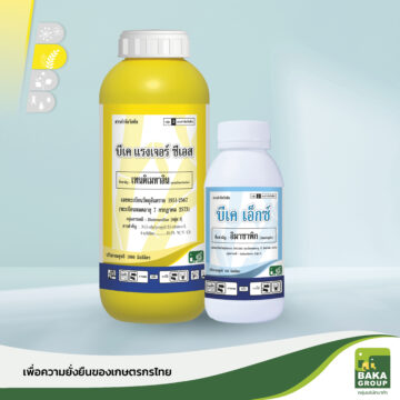 บีเค แรงเจอร์ + เอ็กซ์