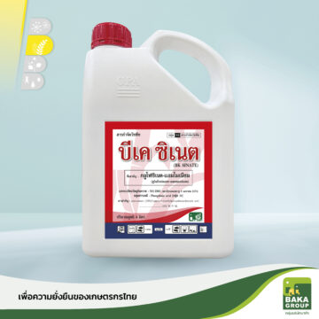 บีเค ซิเนต