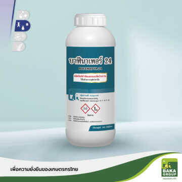 บาฟีนาเพอร์ 24