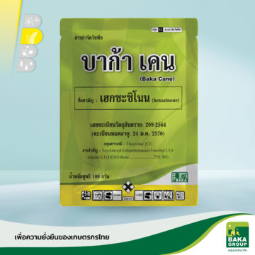 บาก้า เคน