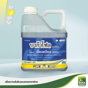 บาก้าโฟล