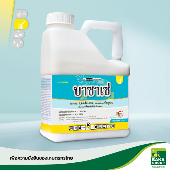 บาซาเซ่