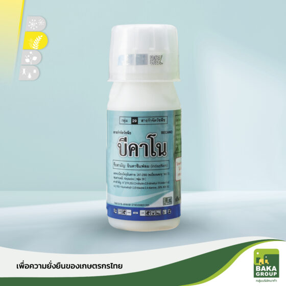 บีคาโน