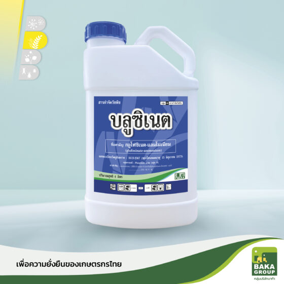 บลูซิเนต