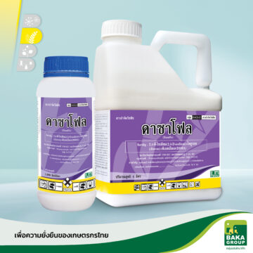ดาซาโฟล