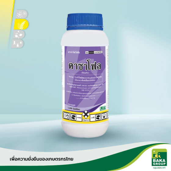 ดาซาโฟล - Image 2