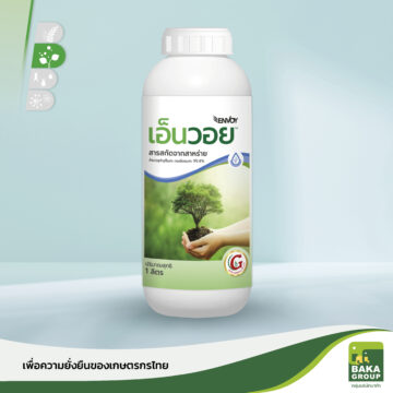เอ็นวอย