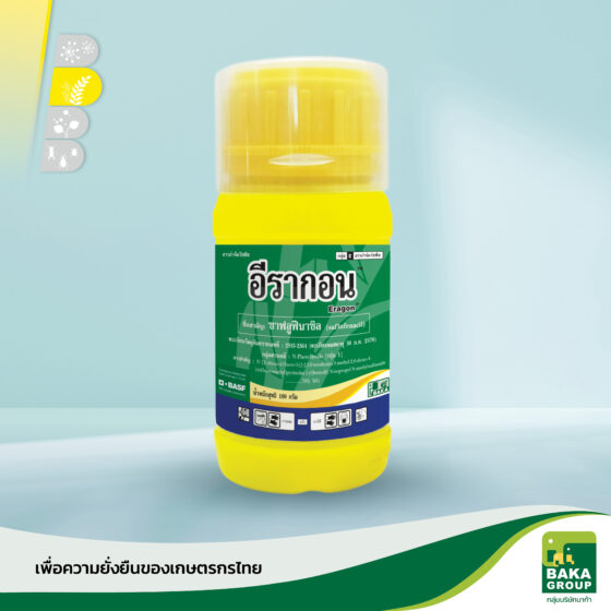 อีรากอน - Image 3