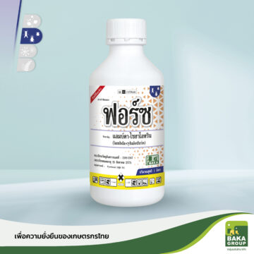 ฟอร์ซ