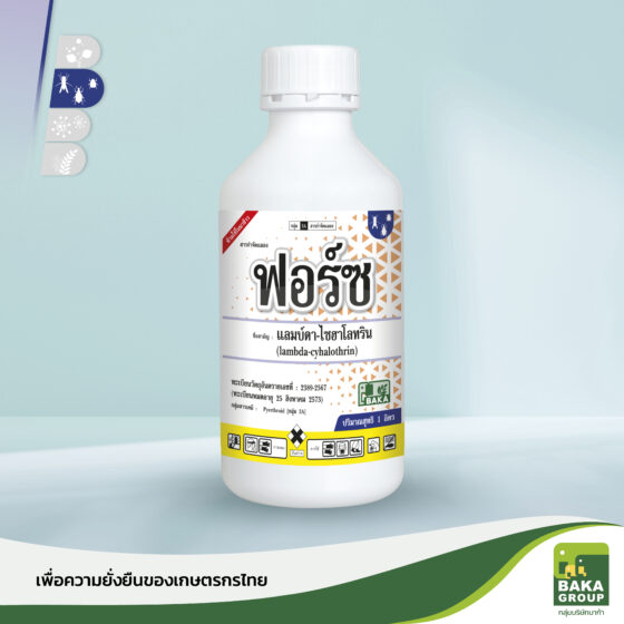 ฟอร์ซ