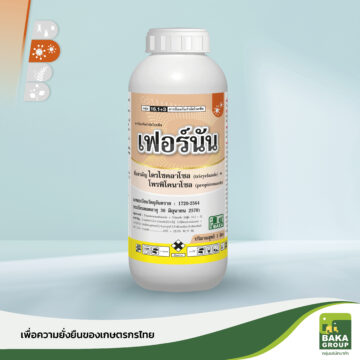 เฟอร์นัน