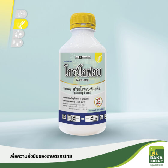 การ์ลอน