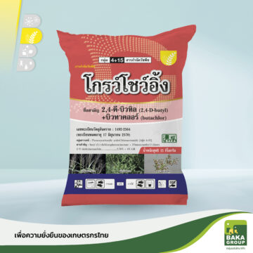 โกรว์โชว์อิ้ง