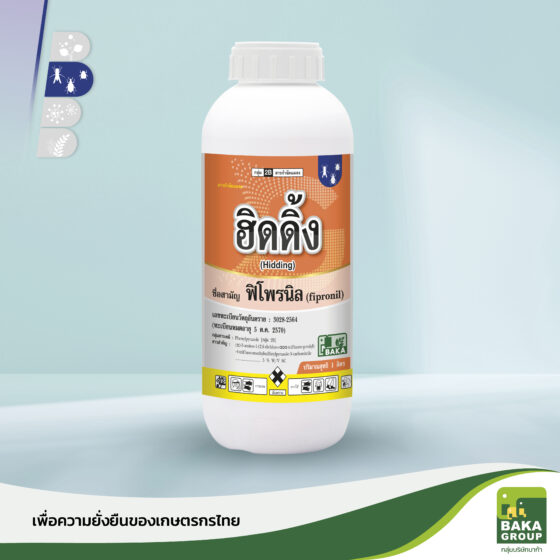 ฮิดดิ้ง