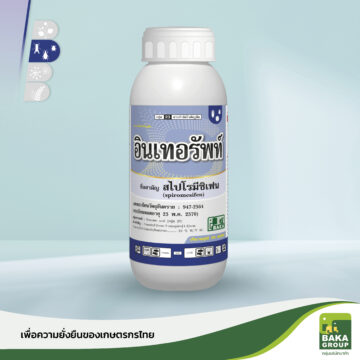 อินเทอรัพท์