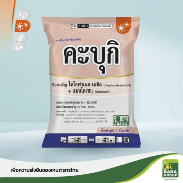 คะบุกิ