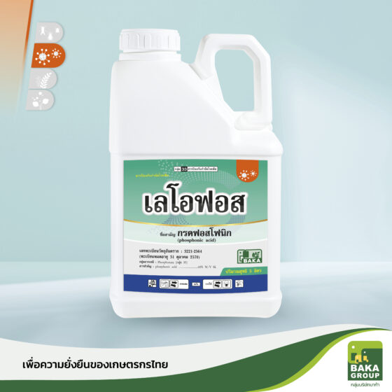 เลโอฟอส - Image 2
