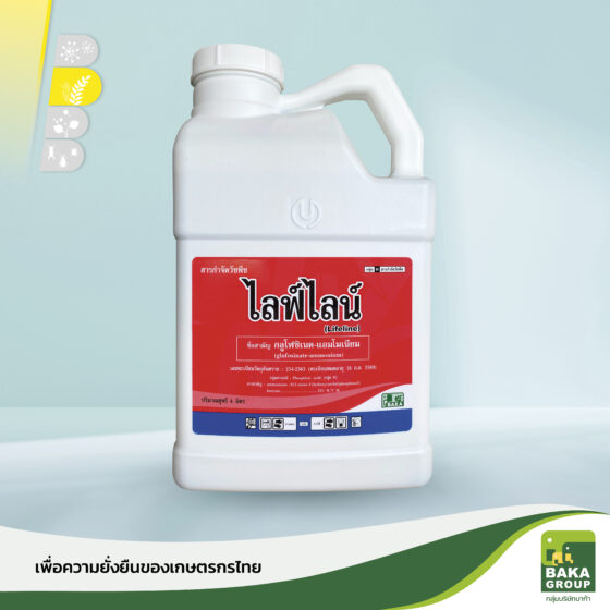 ไลฟ์ไลน์