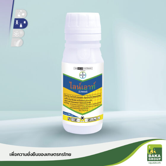 ไลน์เอาท์