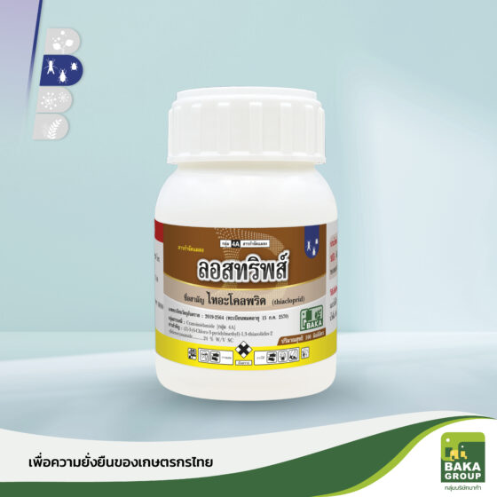 ลอสทริพส์ - Image 2