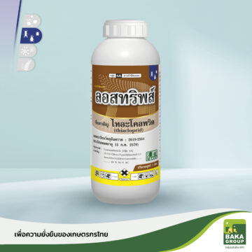 ลอสทริพส์