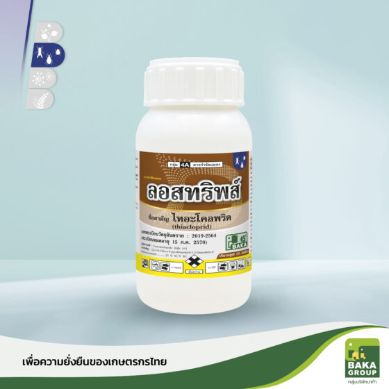 ลอสทริพส์ - Image 3