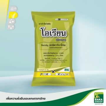 โอเรียน