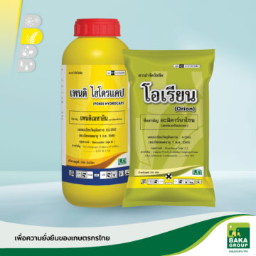เพนดิ ไฮโดรแคป + โอเรียน