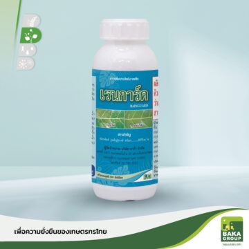 เรนการ์ด