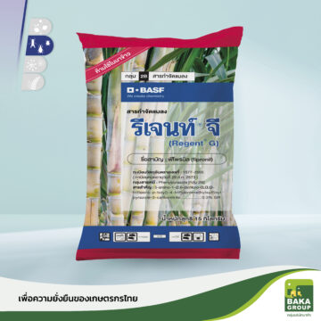 รีเจนท์จี