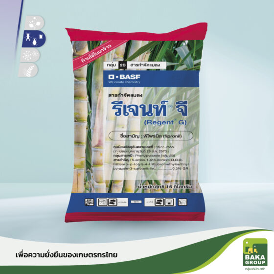 รีเจนท์จี