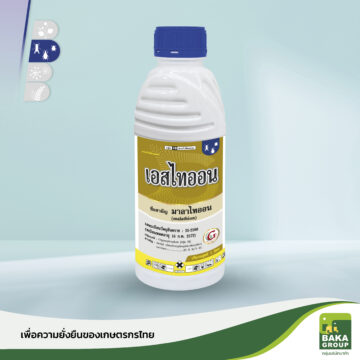 เอสไทออน